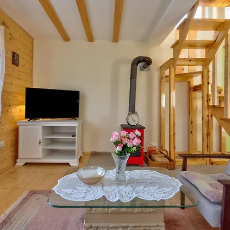 Family 4m Tatil Evi Zlatibor